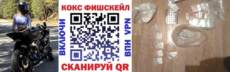 КОКАИН FishScale  где можно купить наркотик  Городовиковск 