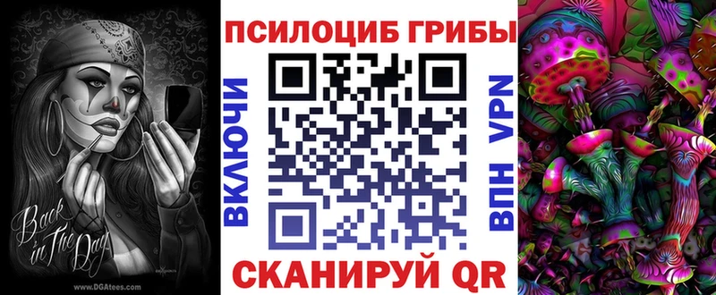 Псилоцибиновые грибы Psilocybe  Городовиковск 